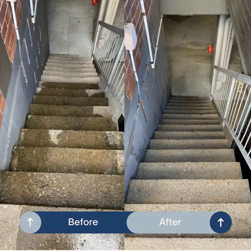 Whole-property pressure washing in Carindale